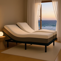 adjustable bed bundle under 2500.00