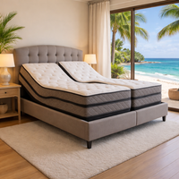 split air adjustable bed frame and 14" air mattresses