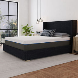 12" Memory Foam (Firm)