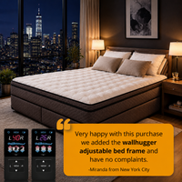 Beverly Hills Bed 12" air firmness mattress review 