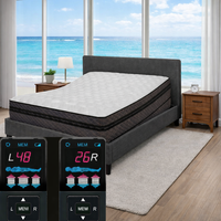 king adjustable air mattress with adjustable bed frame 