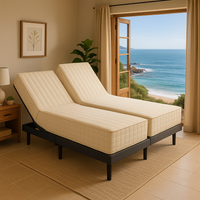 Rize Remedy 3 Lumbar Massaging Adjustable Bed Base