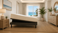 ergomotion ascend adjustable bed