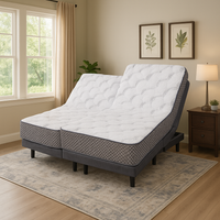 dual queen split adjustable electric bed